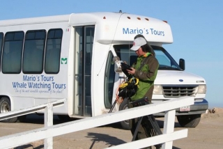  Marios Tours van 